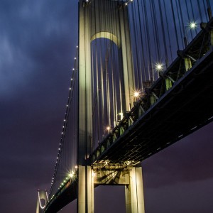 Optional image title Optional image title